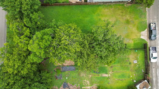 Houston 2-story, 4-bed 1438 Herkimer Street-idx