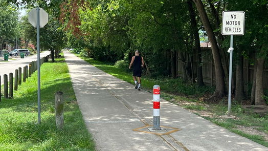 Houston 2-story, 4-bed 1438 Herkimer Street-idx