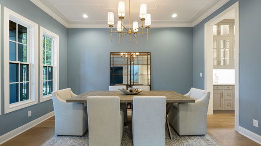 Houston 2-story, 4-bed 1515 Waverly Street-idx