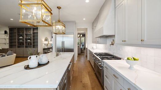 Houston 2-story, 4-bed 1515 Waverly Street-idx