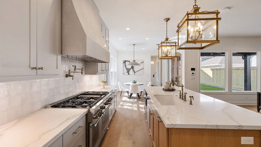 Houston 2-story, 4-bed 1515 Waverly Street-idx