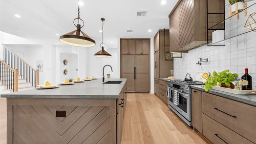 Houston 2-story, 4-bed 2017 W 14th Street-idx