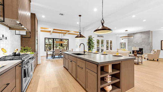 Houston 2-story, 4-bed 2017 W 14th Street-idx