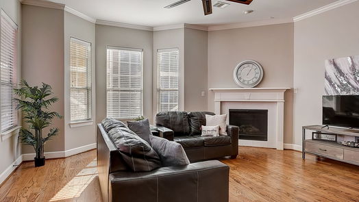 Houston 3-story, 4-bed 219 W 27th Street E-idx