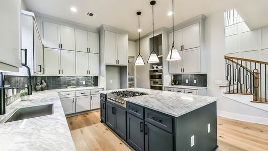 Houston 2-story, 4-bed 1009 W 13th Street-idx