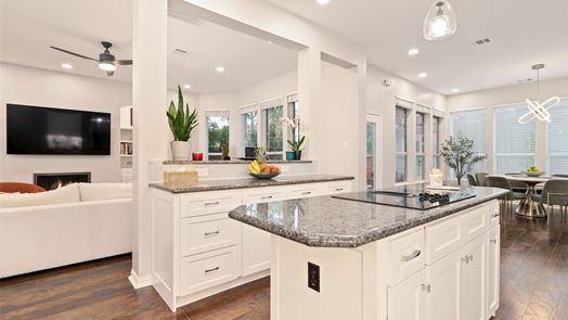 Houston 2-story, 3-bed 946 Lawrence Street-idx
