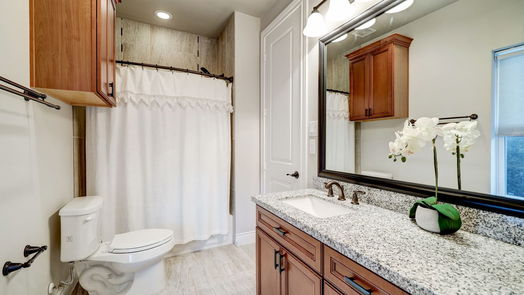 Houston 2-story, 3-bed 410 W 16th Street-idx