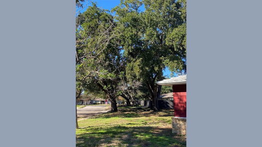 Houston 1-story, 3-bed 905 Bay Oaks Road-idx