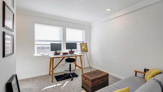 Houston 4-story, 3-bed 1422 W 23rd Street C-idx
