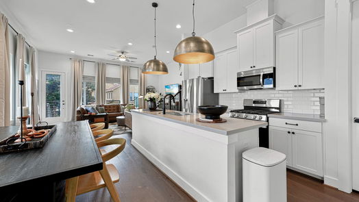 Houston 3-story, 4-bed 1230 W 24th Street-idx