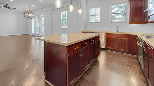 Houston 3-story, 4-bed 1135 W 15th 1/2 Street-idx