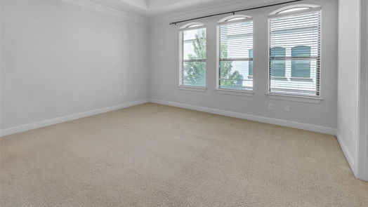 Houston 3-story, 4-bed 1135 W 15th 1/2 Street-idx