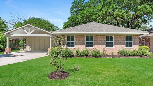 Houston 1-story, 4-bed 6206 Wister Lane-idx