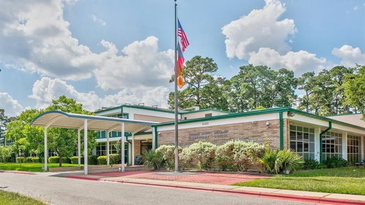 Houston 3-story, 4-bed 3305 Green Nook Lane-idx