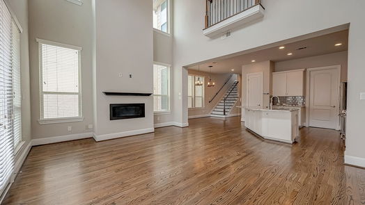 Houston 3-story, 3-bed 1219 Creekside Acres Court-idx