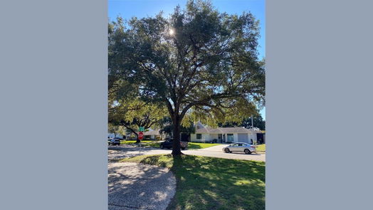 Houston 1-story, 3-bed 905 Bay Oaks Road-idx