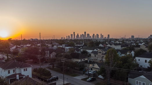 Houston 2-story, 3-bed 1007 Alexander Street-idx