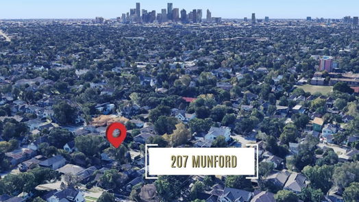 Houston 2-story, 4-bed 207 Munford Street-idx