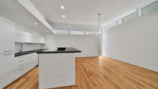 Houston 3-story, 3-bed 1103 W 17th Street-idx