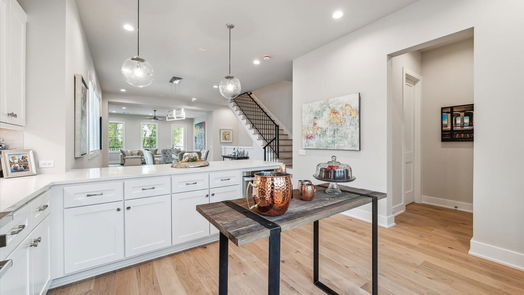 Houston 3-story, 4-bed 710 E 21st Street-idx