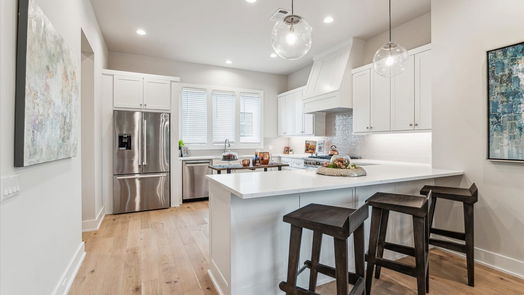 Houston 3-story, 4-bed 710 E 21st Street-idx