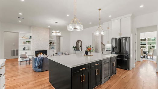 Houston 3-story, 5-bed 1107 Grovewood Lane-idx