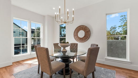 Houston 3-story, 5-bed 1107 Grovewood Lane-idx
