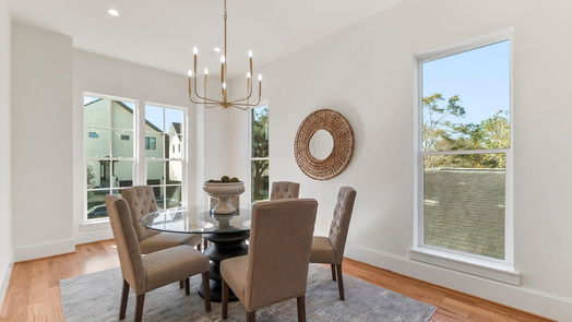 Houston 3-story, 5-bed 1107 Grovewood Lane-idx