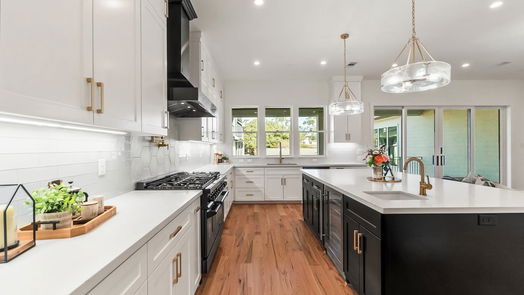 Houston 3-story, 5-bed 1107 Grovewood Lane-idx