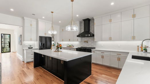 Houston 3-story, 5-bed 1107 Grovewood Lane-idx