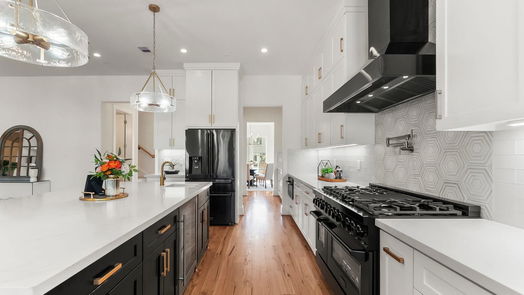 Houston 3-story, 5-bed 1107 Grovewood Lane-idx