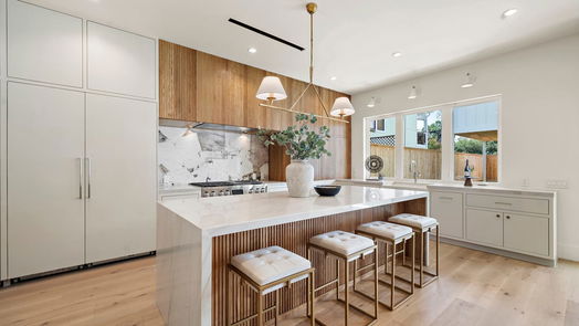 Houston 2-story, 4-bed 408 Pecore Street-idx