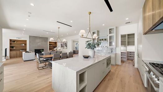 Houston 2-story, 4-bed 408 Pecore Street-idx