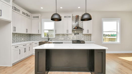 Houston 3-story, 3-bed 2825 Grinnell Street-idx