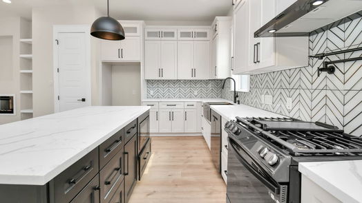 Houston 3-story, 3-bed 2825 Grinnell Street-idx