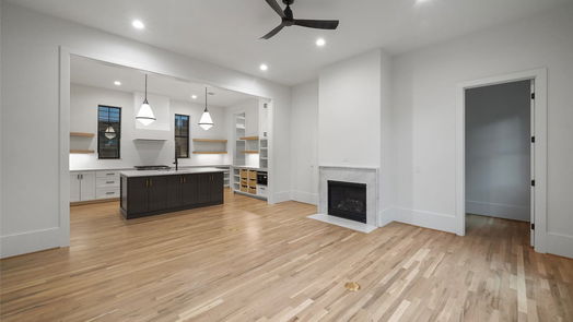 Houston 3-story, 6-bed 701 Ridge Street-idx