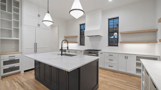Houston 3-story, 6-bed 701 Ridge Street-idx