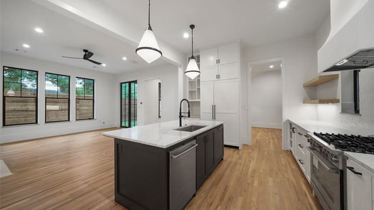 Houston 3-story, 6-bed 701 Ridge Street-idx