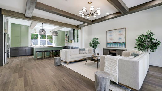 Houston 3-story, 3-bed 2507 Princeton Street-idx