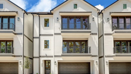 Houston 3-story, 3-bed 2507 Princeton Street-idx