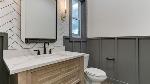 Houston 3-story, 3-bed 2507 Princeton Street-idx