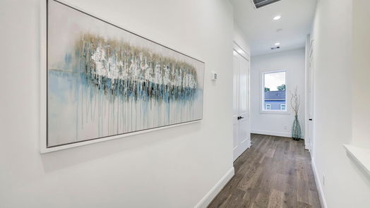 Houston 3-story, 3-bed 2507 Princeton Street-idx