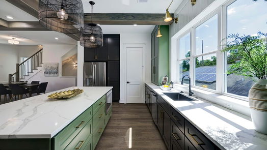 Houston 3-story, 3-bed 2507 Princeton Street-idx