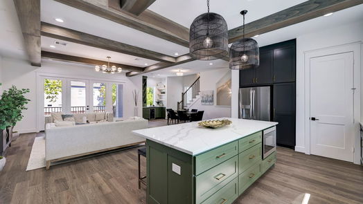 Houston 3-story, 3-bed 2507 Princeton Street-idx