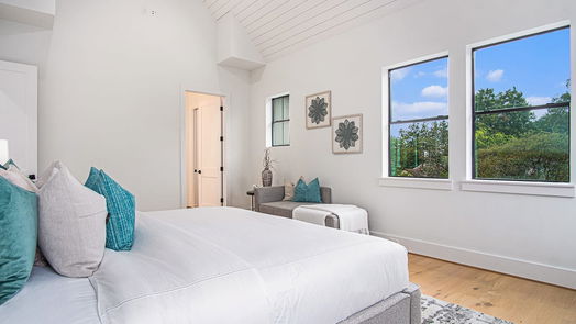 Houston 2-story, 4-bed 808 Walton Street-idx