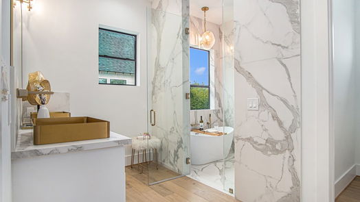 Houston 2-story, 4-bed 808 Walton Street-idx