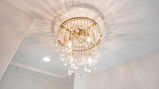 Houston 2-story, 4-bed 808 Walton Street-idx