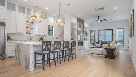 Houston 2-story, 4-bed 808 Walton Street-idx