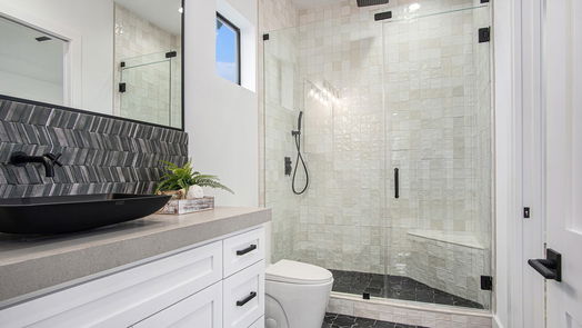 Houston 2-story, 4-bed 808 Walton Street-idx