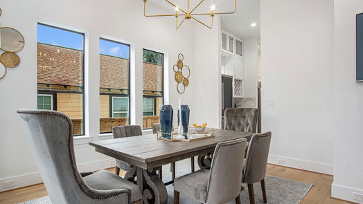 Houston 2-story, 4-bed 808 Walton Street-idx